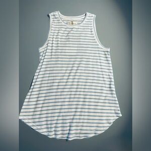 Thread & Supply Striped Tank Top in Blue and White